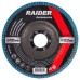 RAIDER Δίσκος φυλλαράκι Φ125 G120 164135